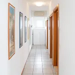 Vista Mare Mv1 *